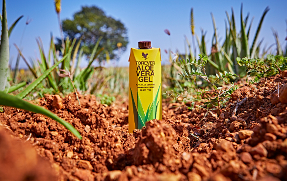 Forever Aloe Vera Gel sisältää huimaavat 99,7 % omaa huippulaadukasta Aloe veraamme ja C-vitamiinia.
